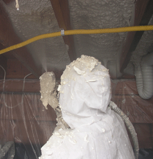 Brampton  crawl space insulation